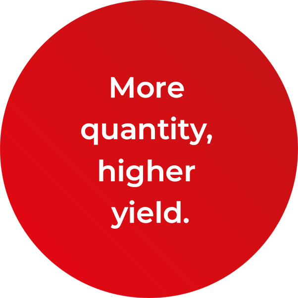 More quantity, higher yield.